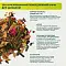 Bambini Pets Сухой корм для шиншилл #8